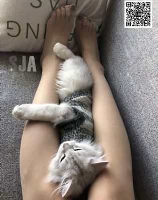亚米影院免费观看电视剧_BD国语手机免费观看完整
